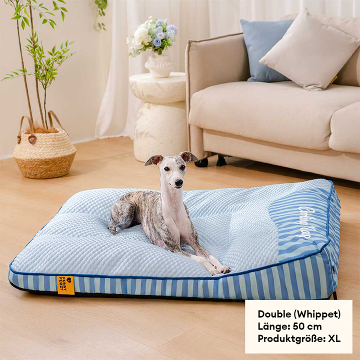 Luxuriöses orthopädisches Hundebett, kühlender Bezug, Memory-Schaum Komfort.