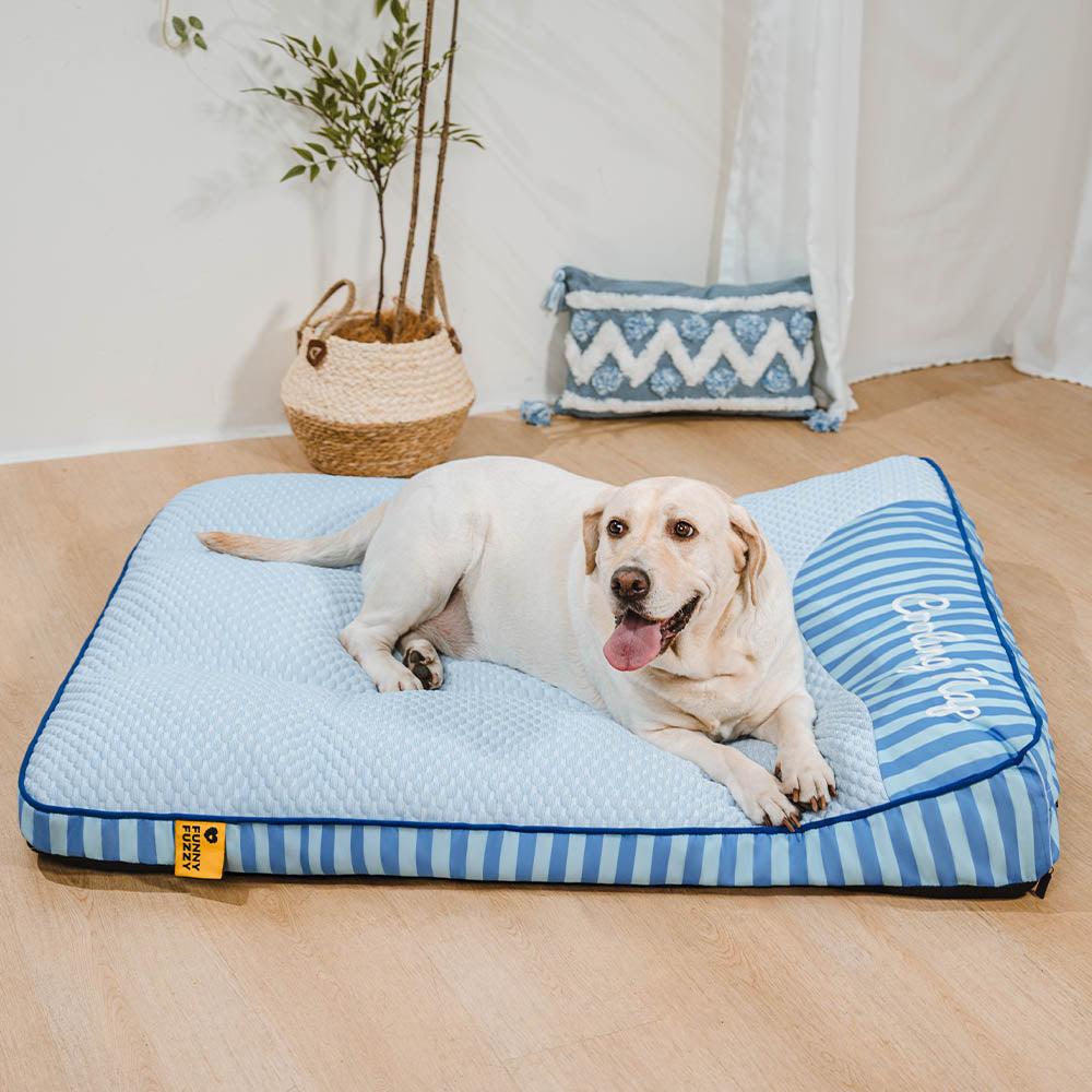 Gelenkschonendes Hundebett, kühlend, orthopädisch, mit Memory-Schaum für Komfort.