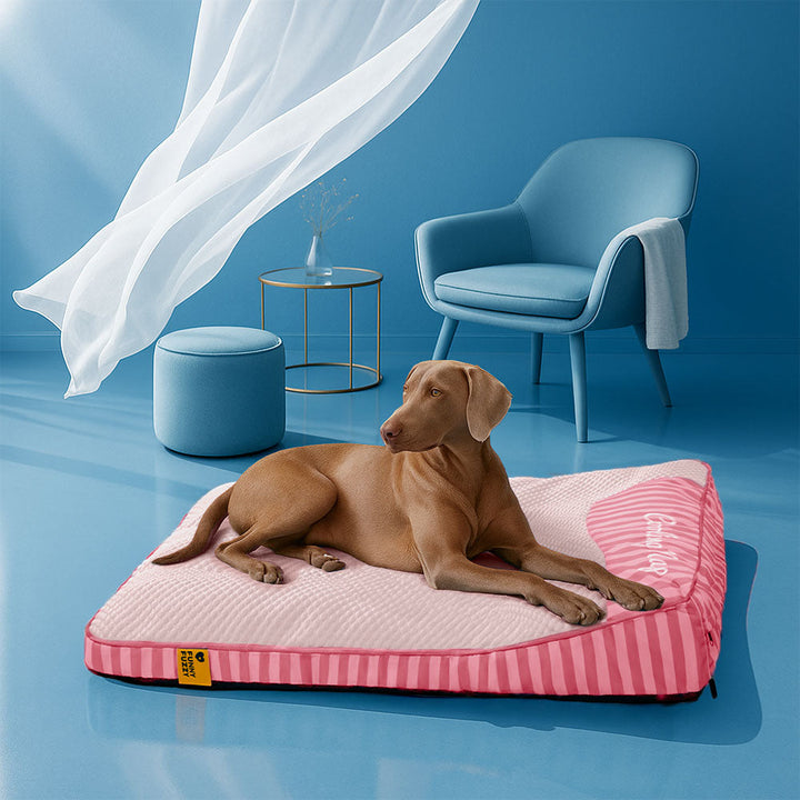 Extra großes orthopädisches Hundebett mit kühlender Oberfläche für alle Hunderassen.