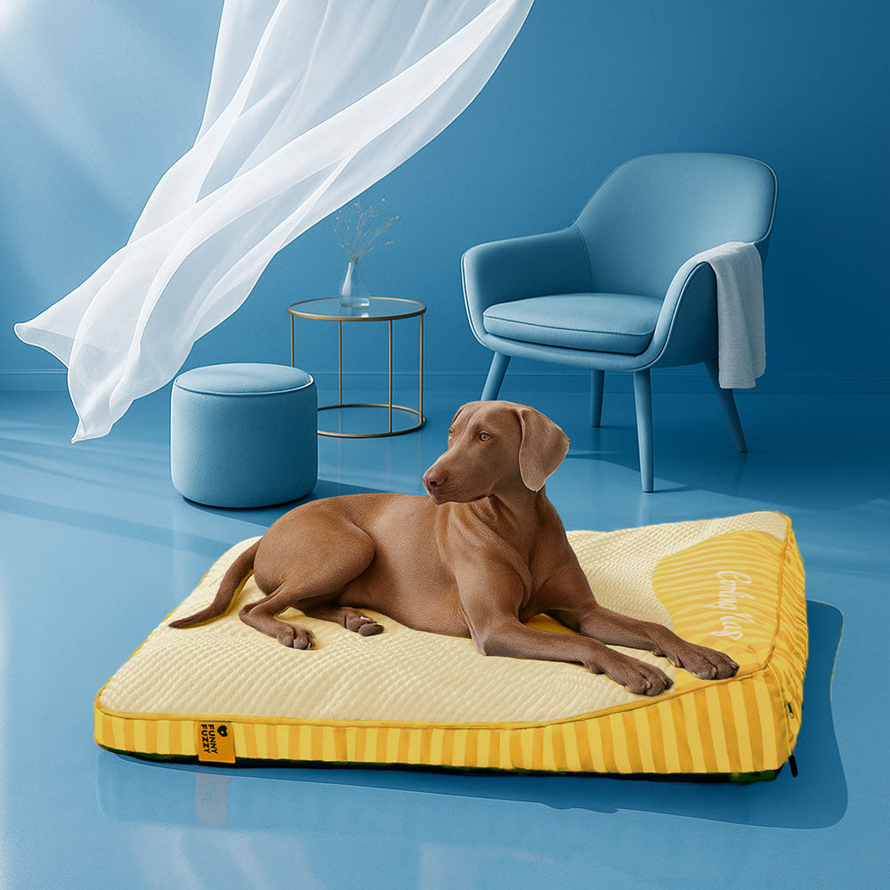 Waschbares, orthopädisches Hundebett XL, kühlend, für Komfort an heißen Tagen.