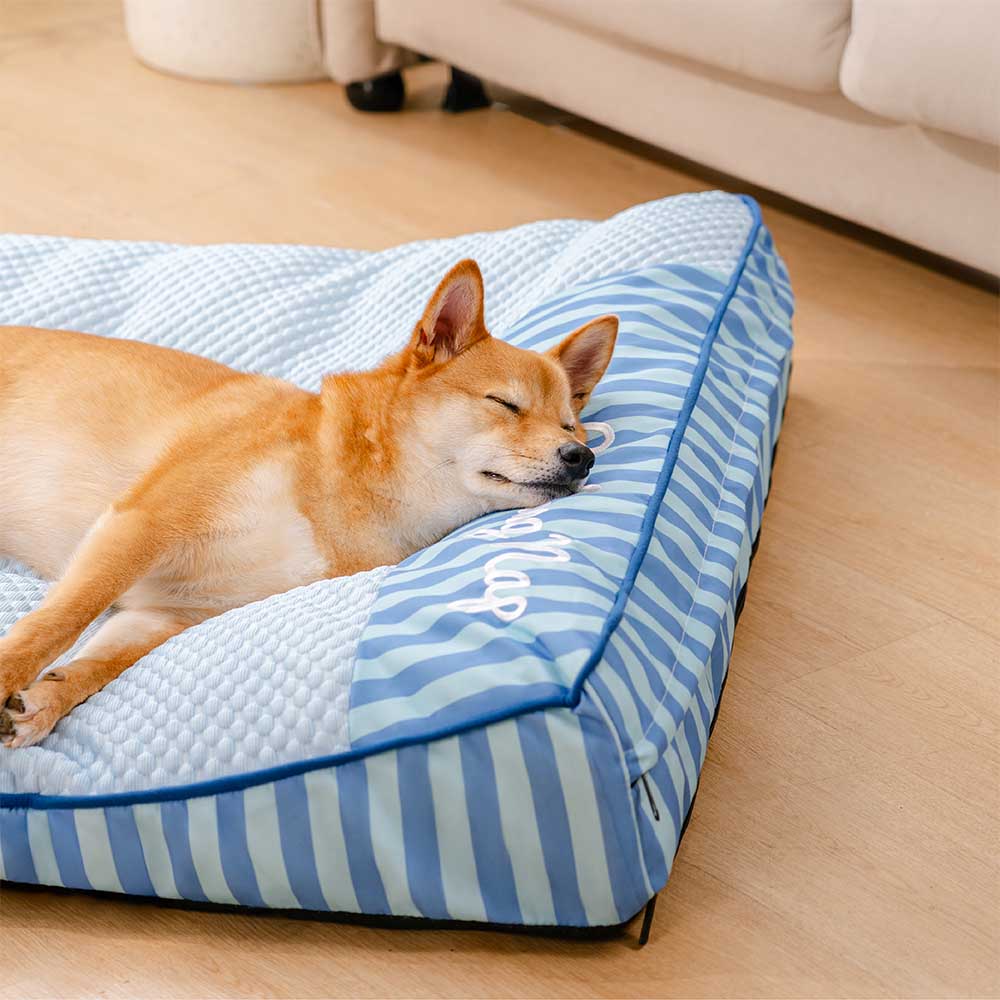 Kühlendes Memory-Schaum Hundebett, gelenkschonend für große Hunde.