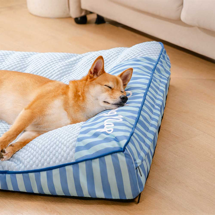 Kühlendes Memory-Schaum Hundebett, gelenkschonend für große Hunde.