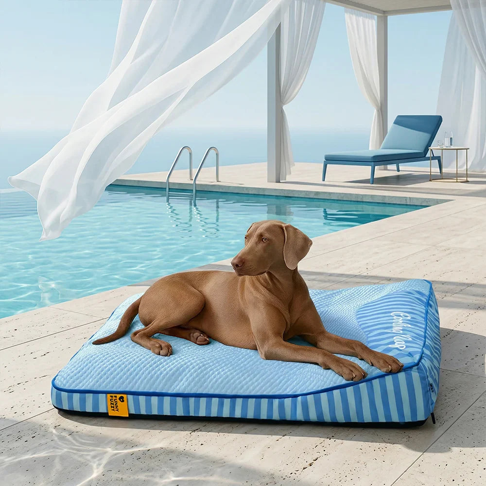 Gelenkschonendes Hundebett, extra groß, kühlend, waschbar, ideal für den Sommer.