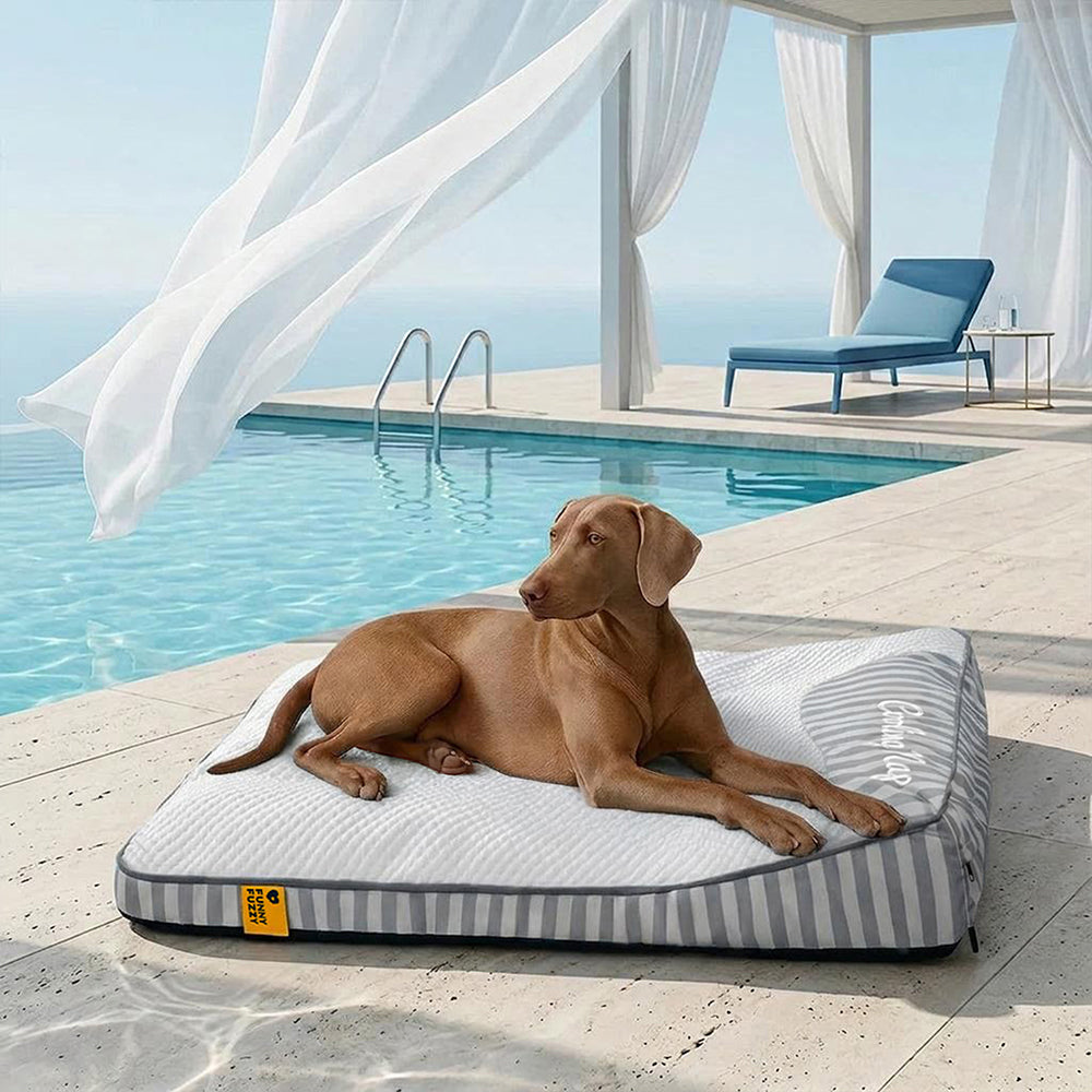 Extra großes, kühlendes Hundebett, orthopädisch, mit waschbarem Bezug.