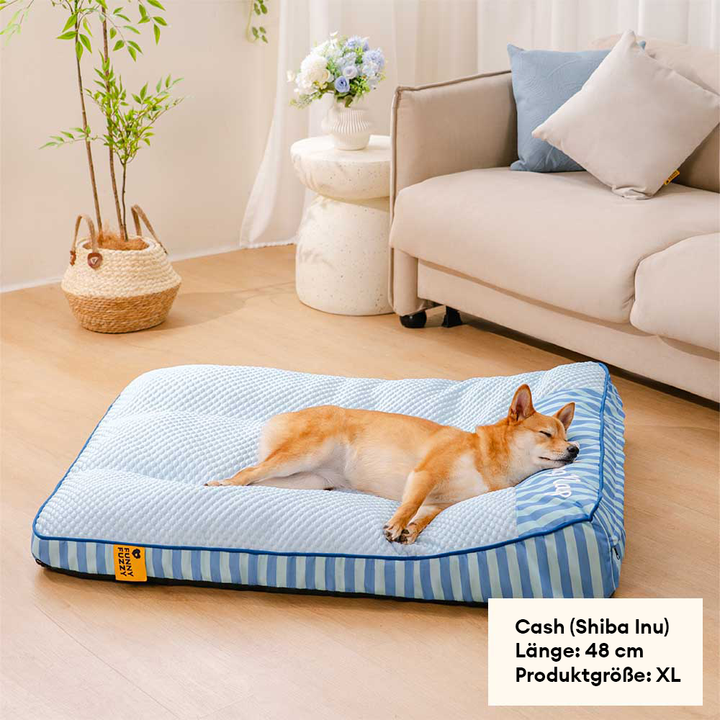 Orthopädisches Hundebett XXL, kühlend und waschbar für alte oder große Hunde.