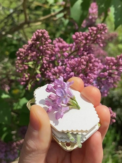 Reisefreundliche Blumenpresse für Botanik-Liebhaber und Kreative.