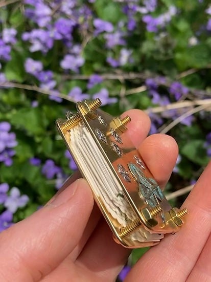 Pflanzenpresse Set zum Trocknen von Blumen für DIY-Kunst.