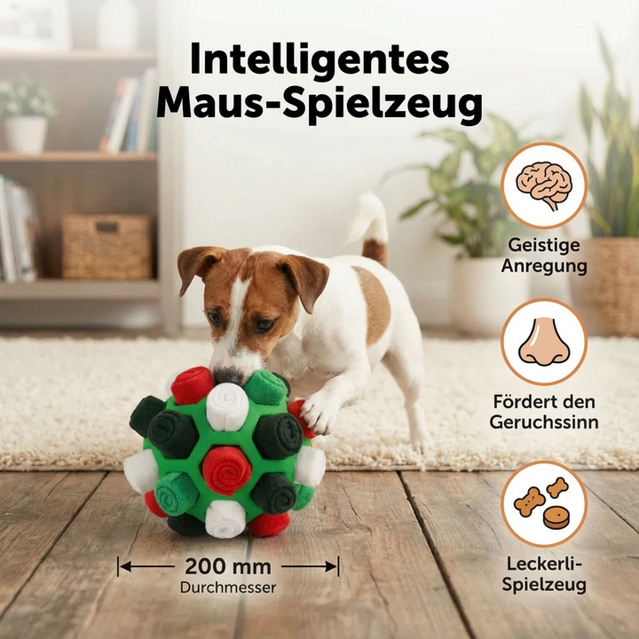 Besitzer spielt mit Hund und Schnüffelball. Das Leckerli-Spielzeug sorgt für gemeinsame Freude.