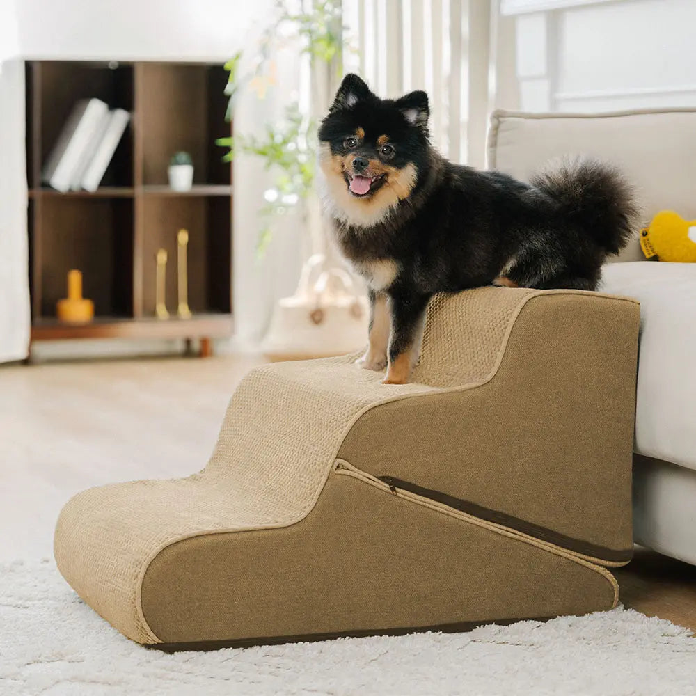 Faltbare Haustiertreppe & Rampe, 2-in-1, ideal für Hunde mit Gelenkproblemen. Sicherer Zugang zu erhöhten Bereichen.