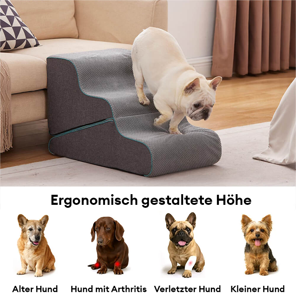Orthopädische Hundetreppe & Rampe, gelenkschonend für ältere oder kranke Hunde. Sicherer Zugang zu Bett & Sofa.