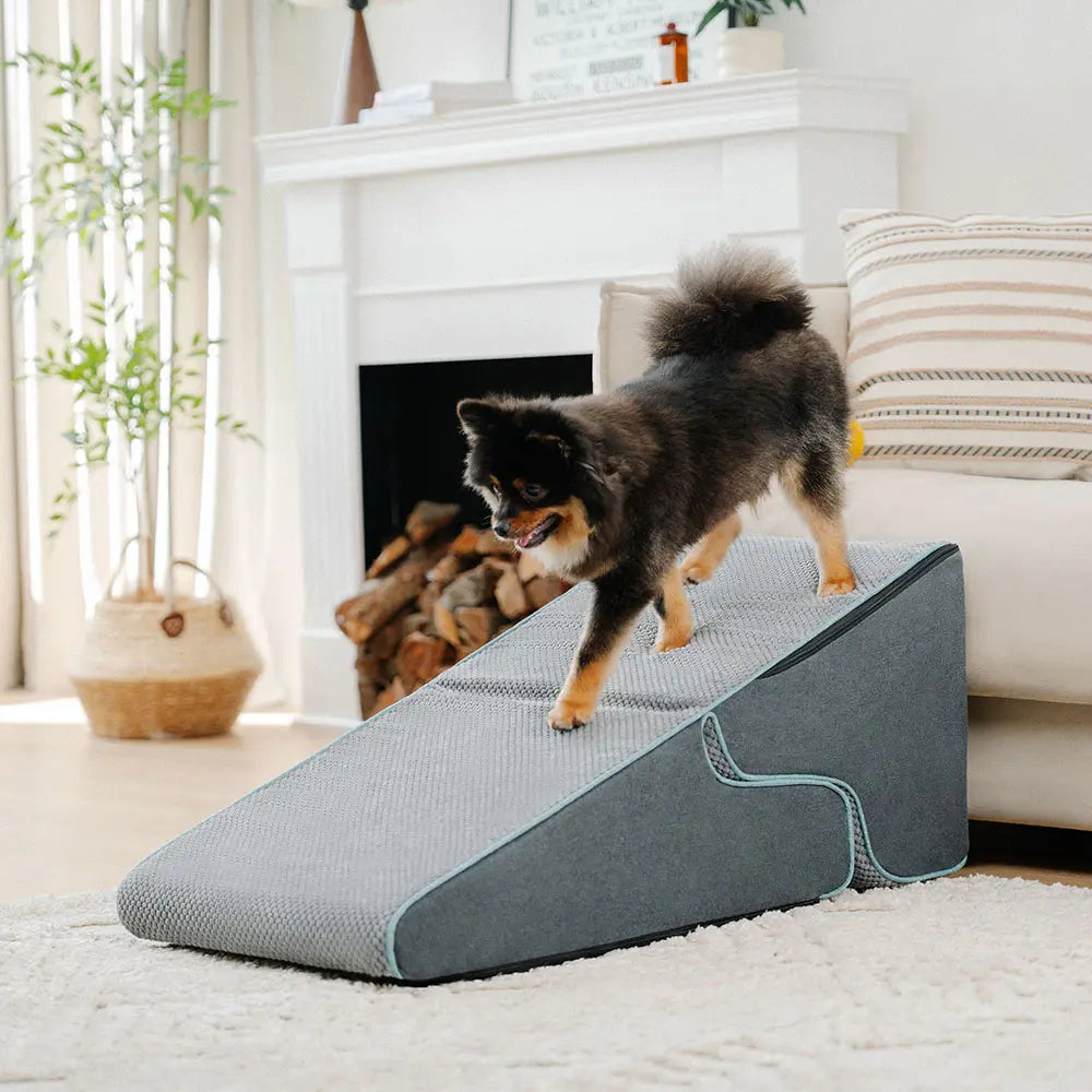 Orthopädische Hunderampe, faltbar, für gelenkschonenden Zugang zu Betten für kleine & ältere Hunde. Rutschfest.