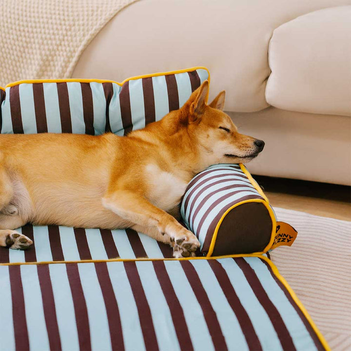 Hundebett entfaltet, zeigt modernes, gestreiftes Design. Faltbar & wasserabweisend.