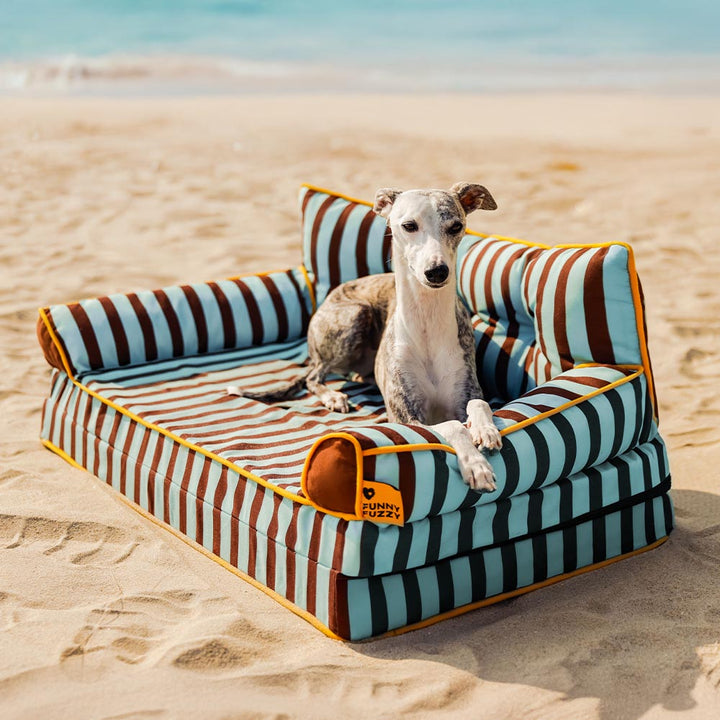 Gestreiftes, faltbares Hundebett neben einer Couch, bietet zusätzlichen, wasserabweisenden Schlafplatz.