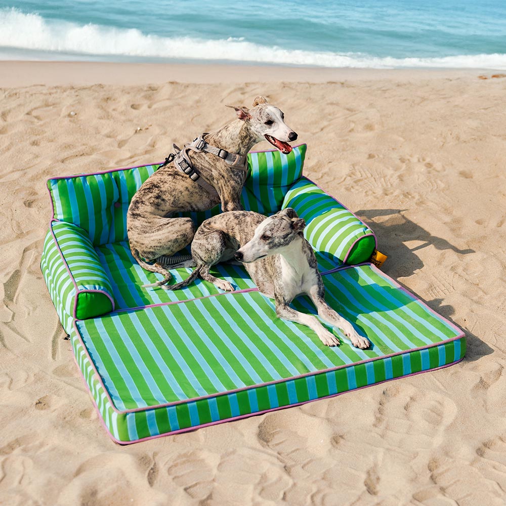 Robustes, faltbares Hundebett mit wasserabweisendem Bezug. Gestreiftes Design für Haustier-Komfort.