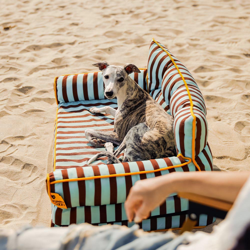 Hundebett mit Streifen, faltbar und wasserabweisend, perfekt für Reisen im Kofferraum.