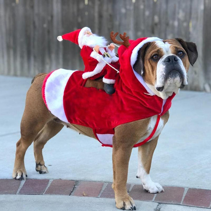 Fröhliches Hunde-Weihnachtskostüm als festliches Geschenk für Haustiere; ideal für winterliche Verkleidungen.