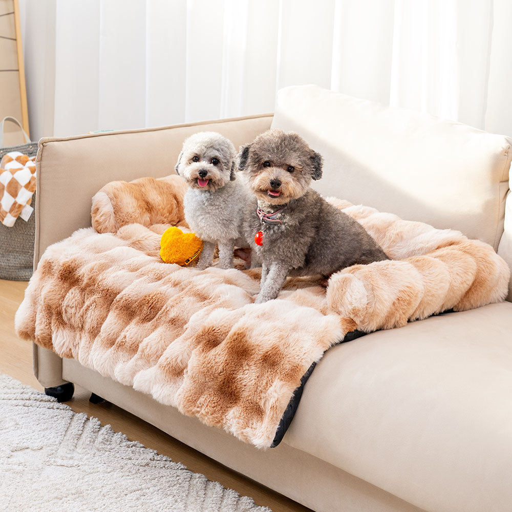 Orthopädisches Katzenbett und Hundebett mit Sofaschutz, bietet jedem Haustier wohligen Tierkomfort.
