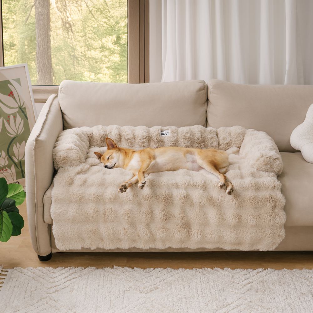 Gemütliches Kuschelbett für Hunde und Katzen, mit orthopädischem Plüsch und schützender Sofafunktion.