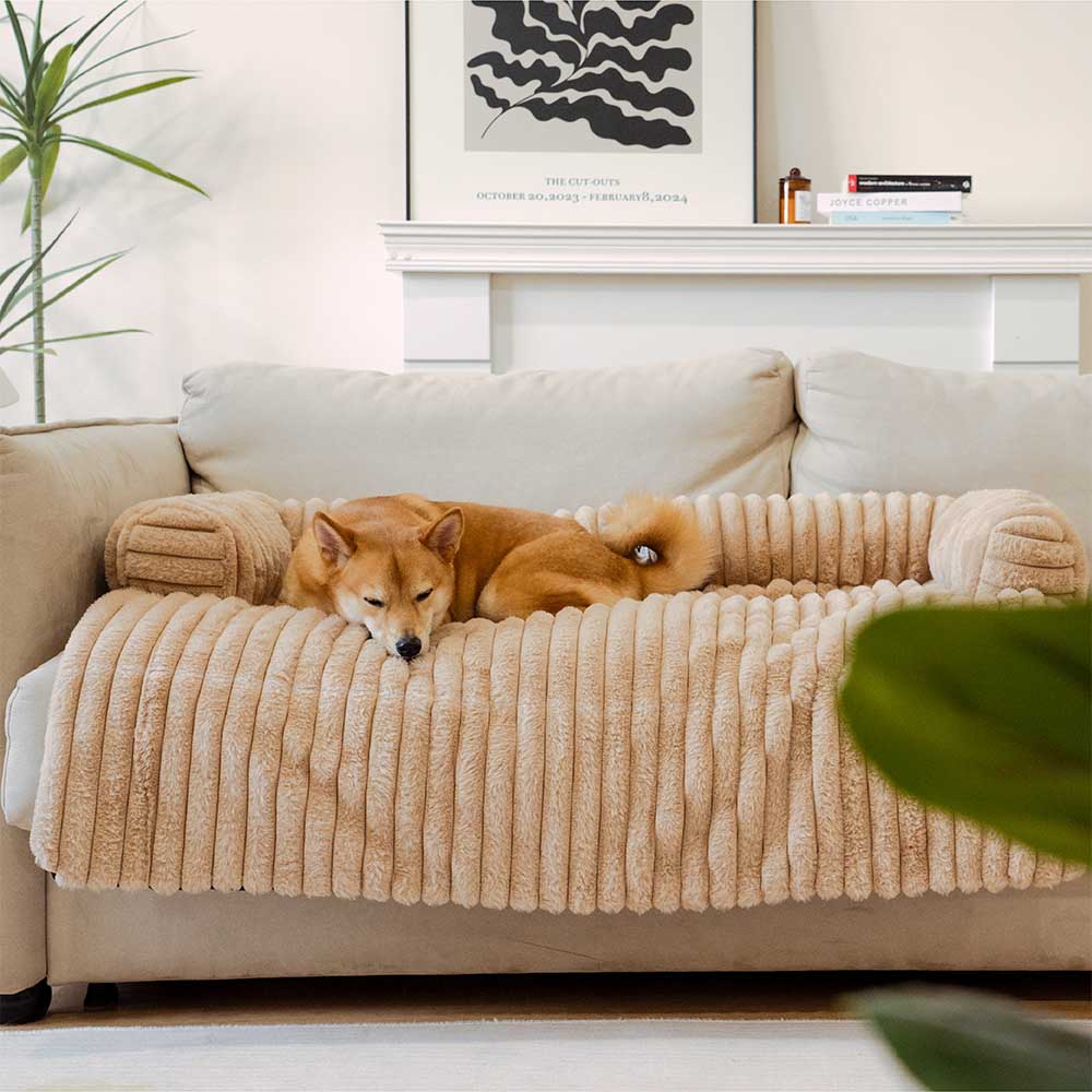 Detailaufnahme: Weicher Plüschstoff des Hundebetts & Sofaschutzes, für maximalen Tierkomfort.