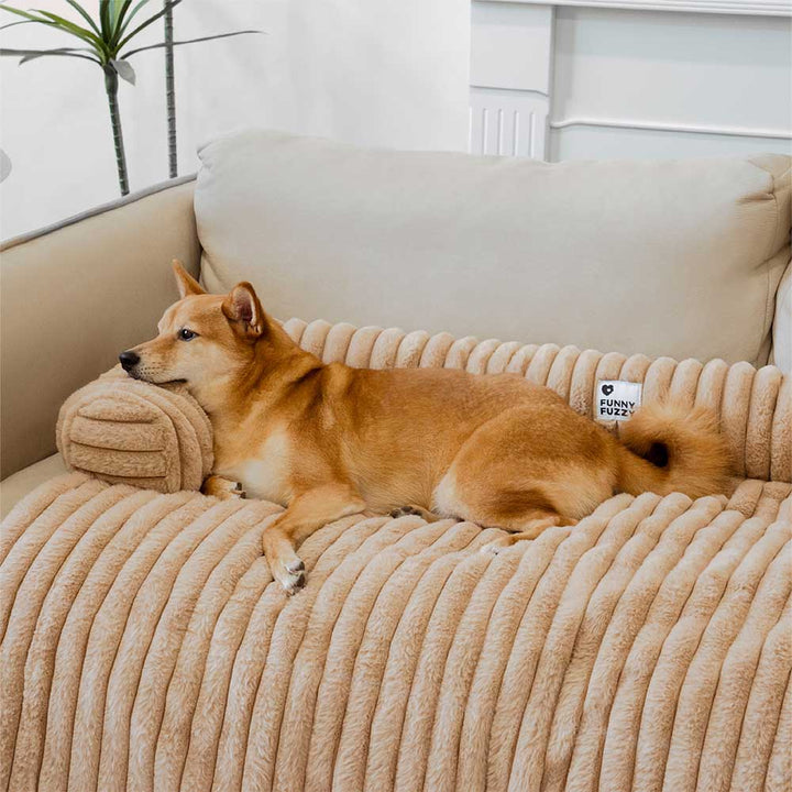 Modernes Hundebett in Braun, schützt Ihr Sofa und bietet Ihrem Hund einen warmen Rückzugsort.