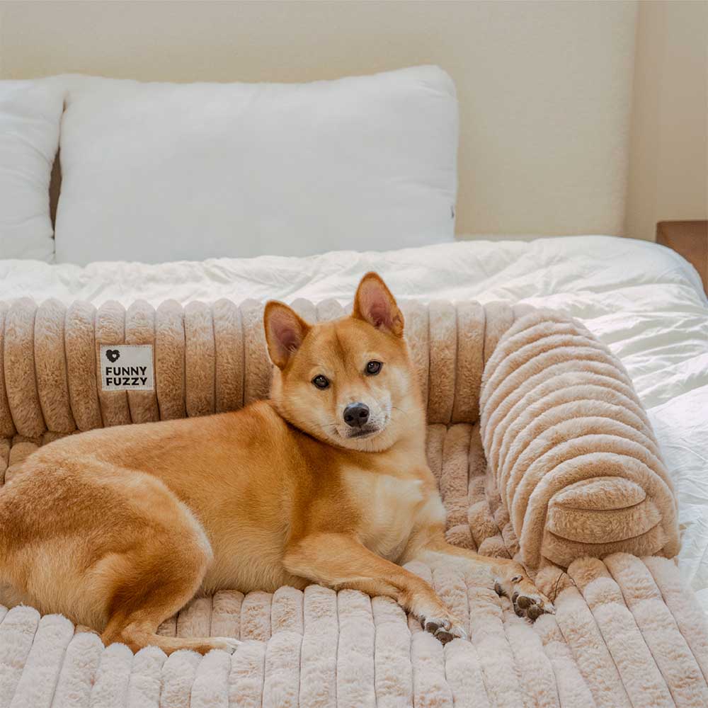Graues Flausch-Hundebett als Sofaschutz, hygienisch & waschbar, schützt vor Kratzern & Schmutz.