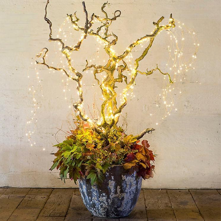 Mehrfarbige Glühwürmchen Lichterkette; zaubert festliches Ambiente als flexible Party- oder Gartendekoration.