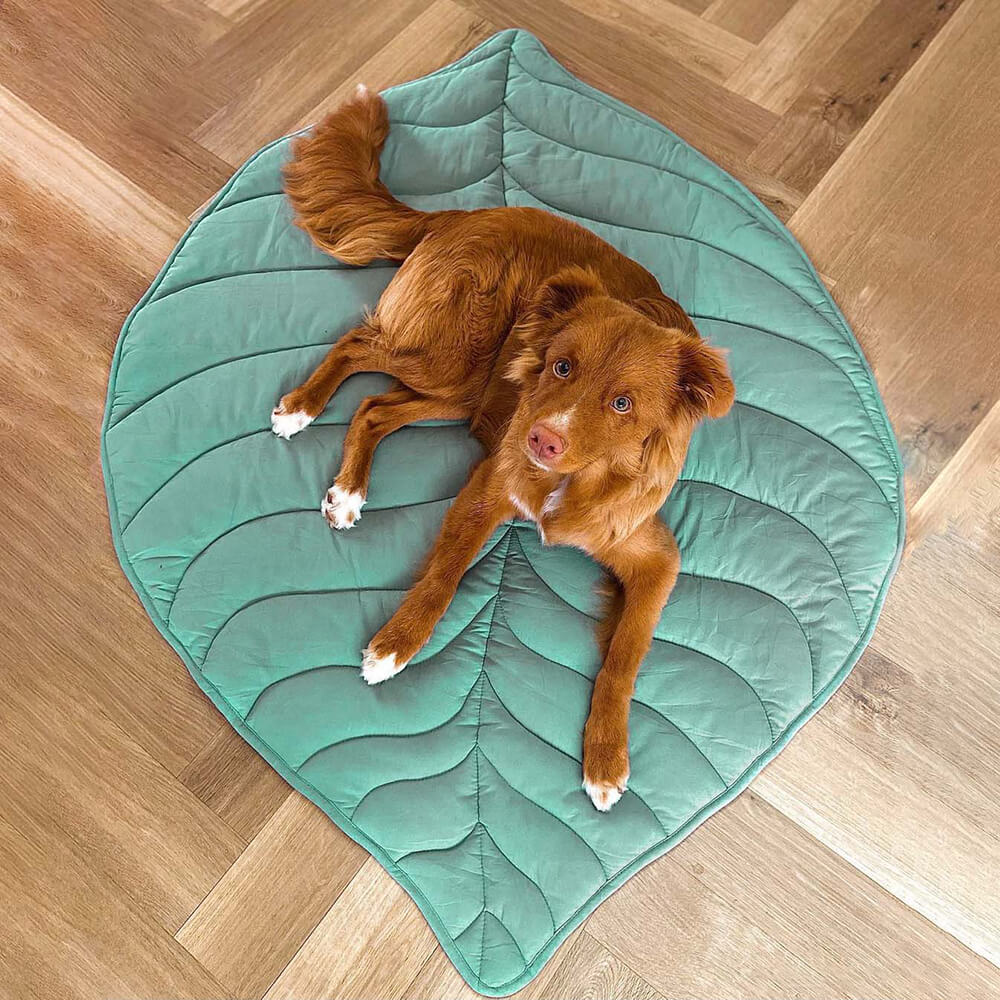Blattform Hundebett, weich, gemütlich & dekorativ, für kleine bis mittelgroße Hunde.