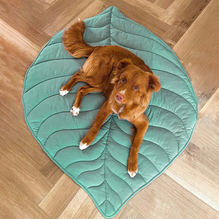 Blattform Hundebett, weich, gemütlich & dekorativ, für kleine bis mittelgroße Hunde.
