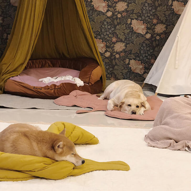 Weiche Hundematte in Blattform, perfekt zum Kuscheln und Entspannen.