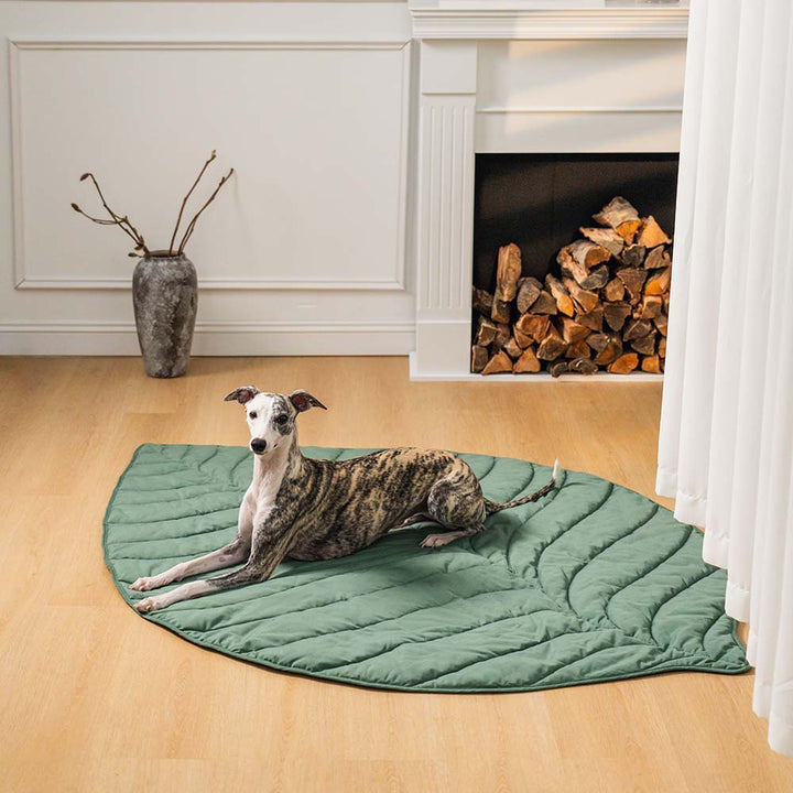 Grünes Blatt Design Hundebett, gemütlich, weich, waschbar und sehr stylisch.