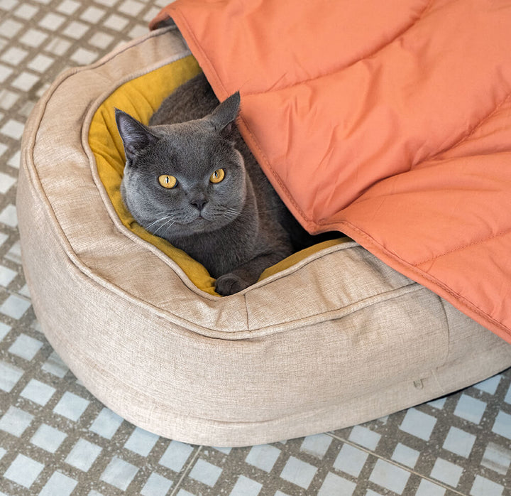 Kuscheldecke Blattform für Hunde, weich & dekorativ, ein tierfreundliches Accessoire.
