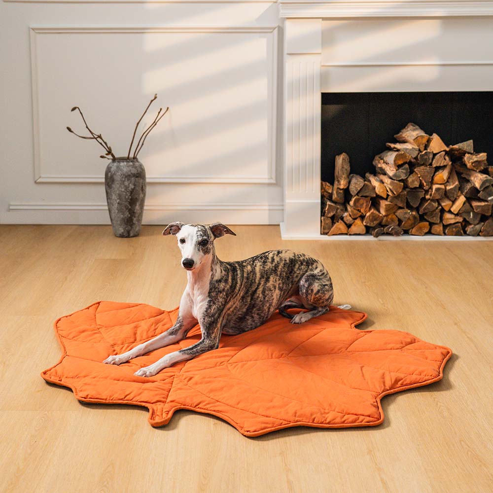 Elegante Blattform Hundematte, weich & waschbar, perfekt für entspannte Momente.