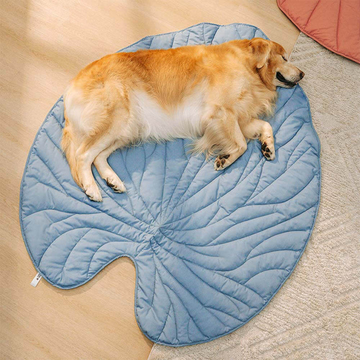 Kuschelige Hundedecke Blattform, weich, dekorativ & praktisches Hundezubehör.
