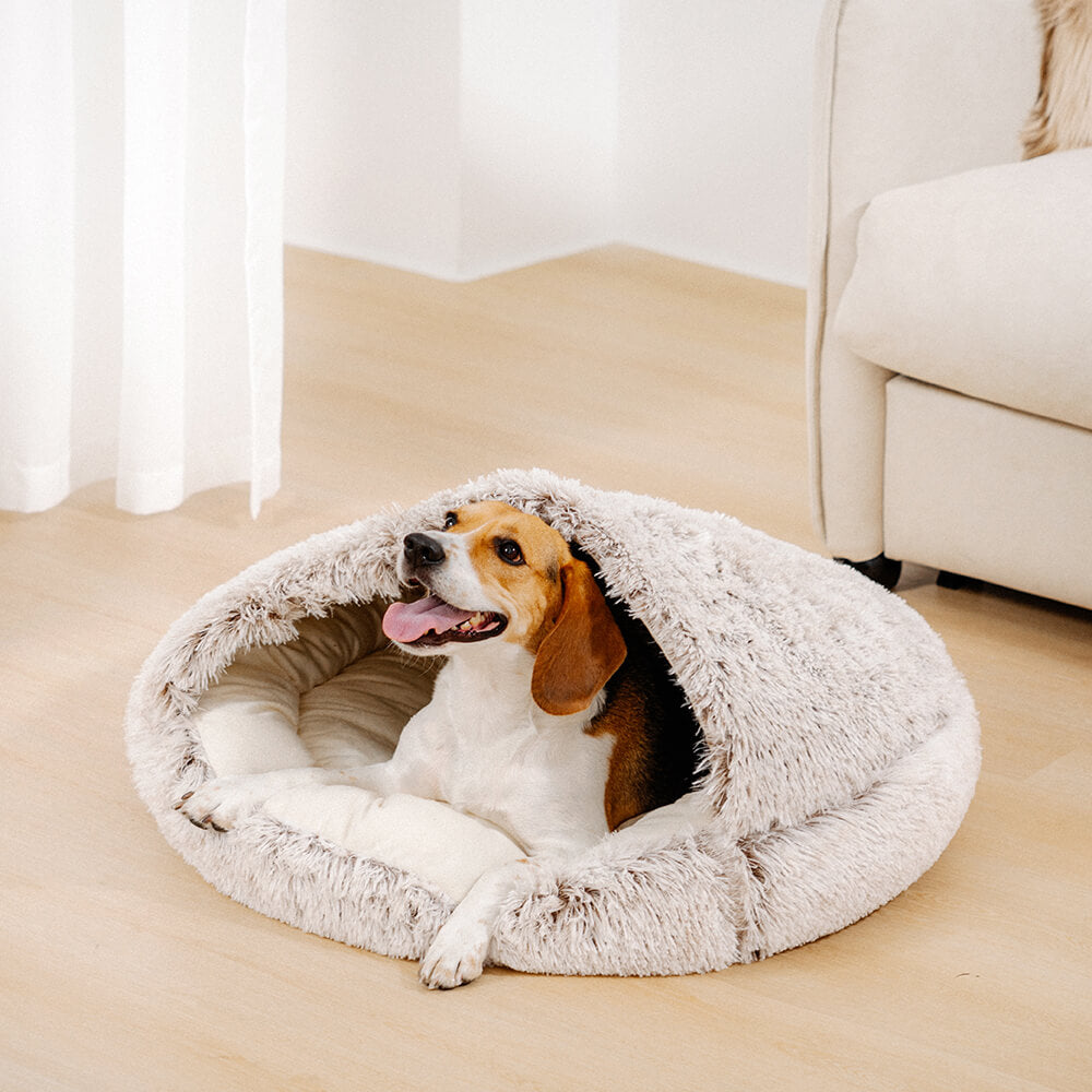 Gemütliches, halbgeschlossenes Plüsch-Hundebett für Geborgenheit und Tiefschlaf.