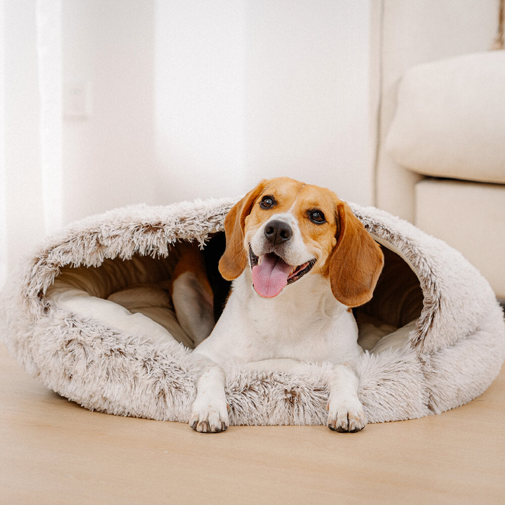 Kuscheliges Plüschbett für Hunde, beruhigend und ideal für einen tiefen Schlaf.