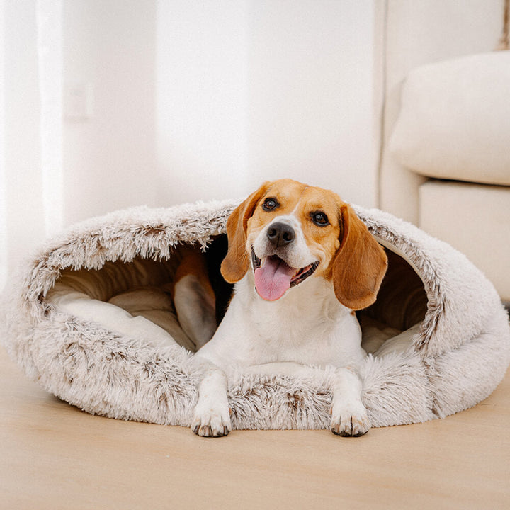 Kuscheliges Plüschbett für Hunde, beruhigend und ideal für einen tiefen Schlaf.