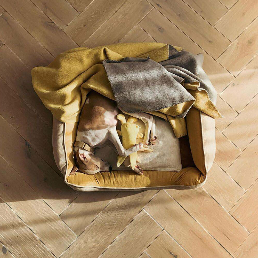 Luxuriöses Hundebett, weich & waschbar, perfekter Schlafplatz für anspruchsvolle Hunde.
