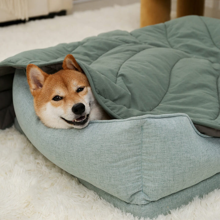 Plüschiges Hundebett, schützt vor Kälte, bietet optimalen Schlafkomfort, langlebig.