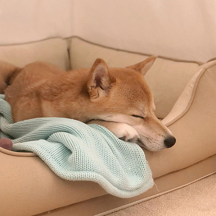 Hundebett für tiefen Schlaf, weich gepolstert, waschbar, in modernem Design.