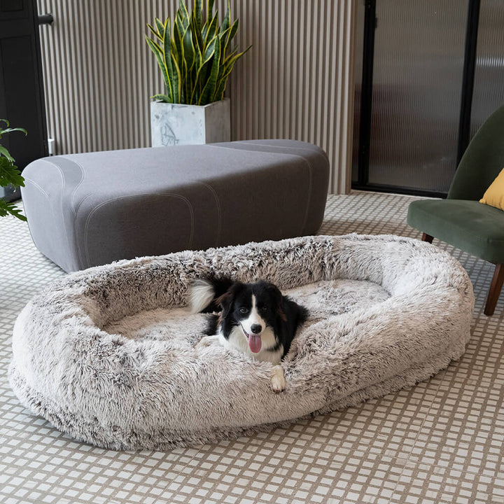 Geräumiges Kuschelbett für Mensch & Hund. Tiefes, orthopädisches Familienbett für gemeinsame Ruhe.