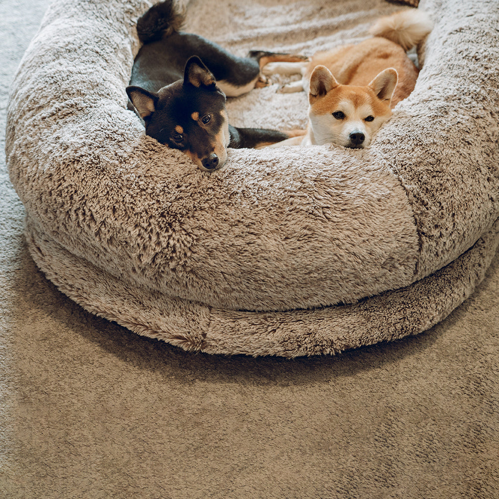 Bequemes orthopädisches Kuschelbett, tief. Die ideale Wohlfühloase für Mensch und Tier.