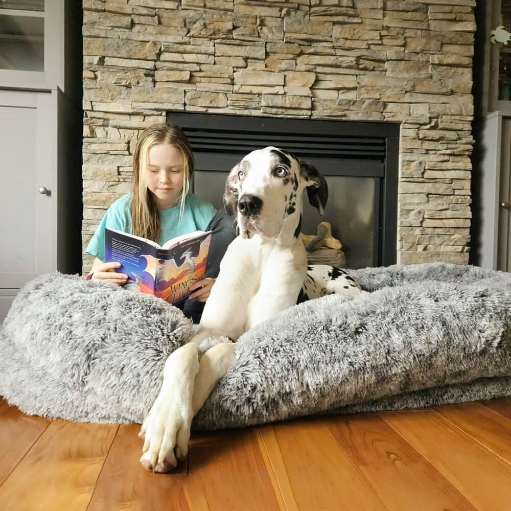 Perfektes Familienliege, geräumig und tief. Waschbares Hundebett für gemeinsame Entspannung.