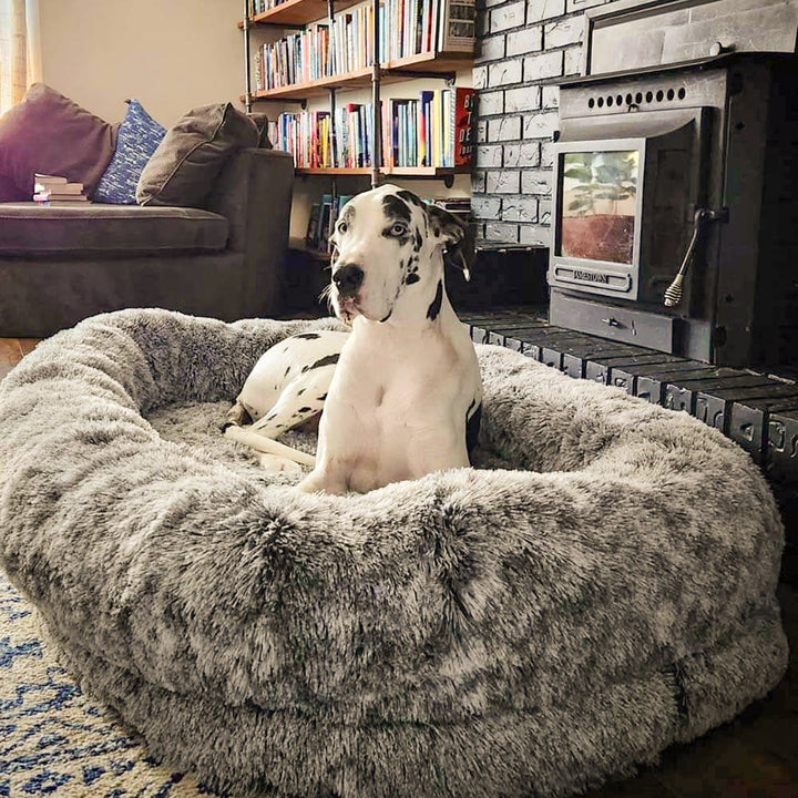 Gemütliches, ovales Kuschelbett, waschbar. Ein geräumiges Haustierbett für Entspannung pur.
