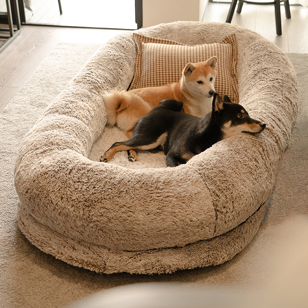 Orthopädisches Komfortbett, groß, für Hunde und Menschen. Tiefe Familienliege, ideal zum Entspannen.