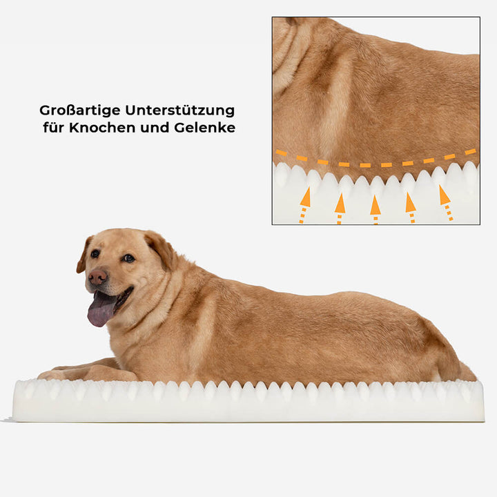 Luxuriöses Hundebett für die ganze Familie. Geräumige, tiefe Haustierliege für gemütliche Stunden.
