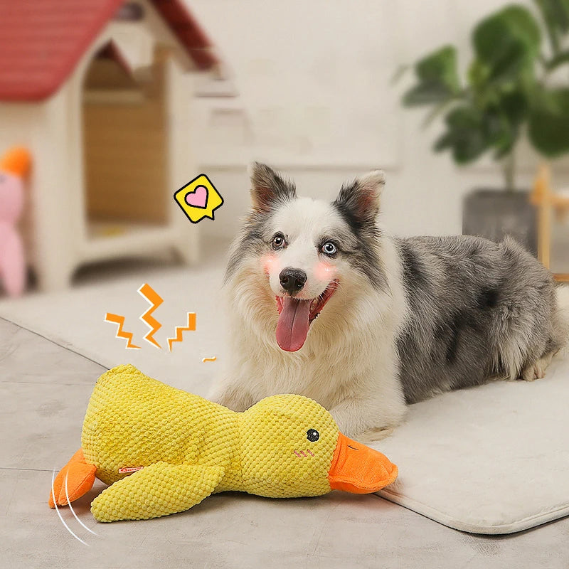 Weiche, strapazierfähige Anti-Stress Plüsch-Ente in Gelb-Grün. Ideales Kauspielzeug für glückliche Hunde & Spielspaß.