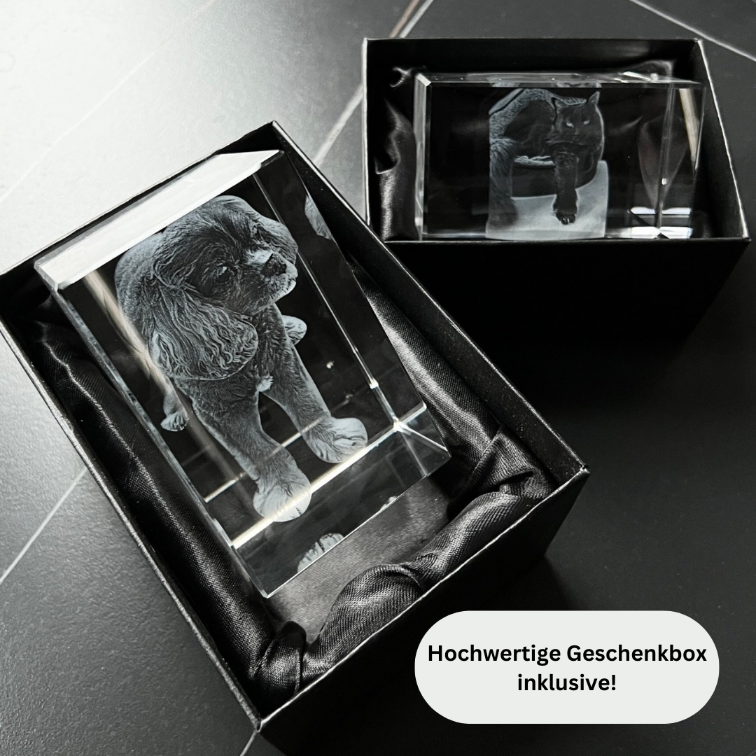 Detailaufnahme eines personalisierten 3D Fotokristalls mit leuchtendem LED Sockel als besonderes Erinnerungsstück.