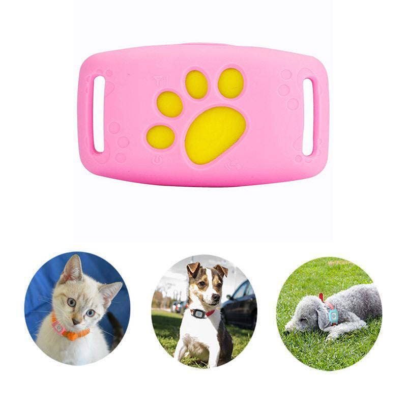 GPS-Halsband für Katzen & kleine Hunde mit Echtzeit-Ortung. Sicherer Haustier-Tracker, wasserdicht & präzise.