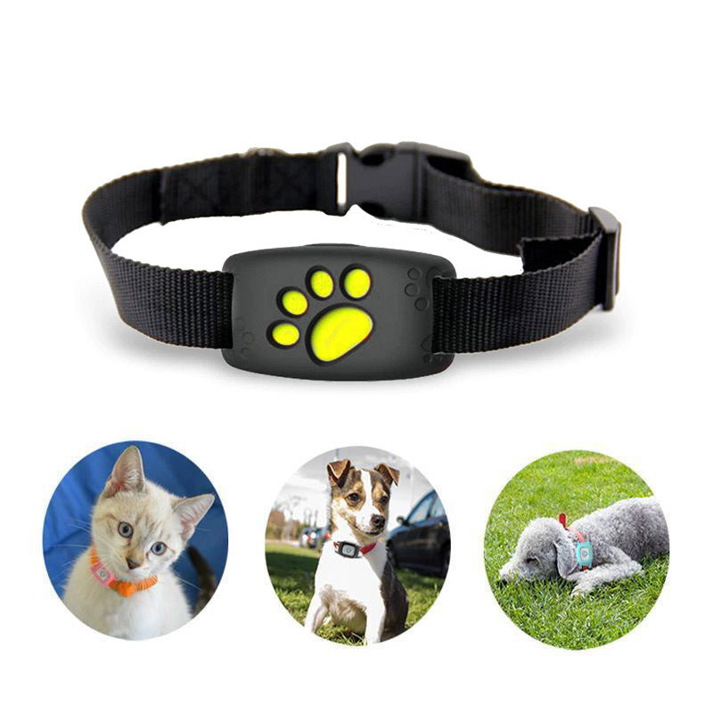 Wasserdichtes GPS-Halsband für Katzen und kleine Hunde zur Echtzeit-Ortung und Tiersicherheit.