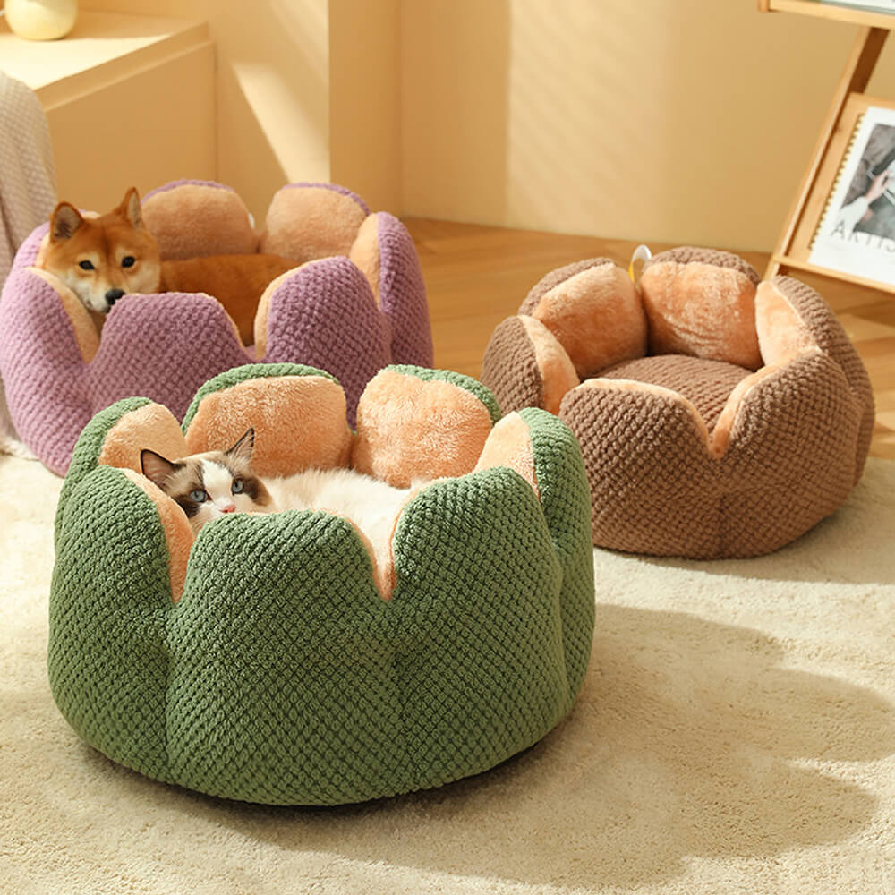 Grünes Kaktus Katzenbett aus Plüsch, gemütlicher und stylischer Schlafplatz für Katzen.